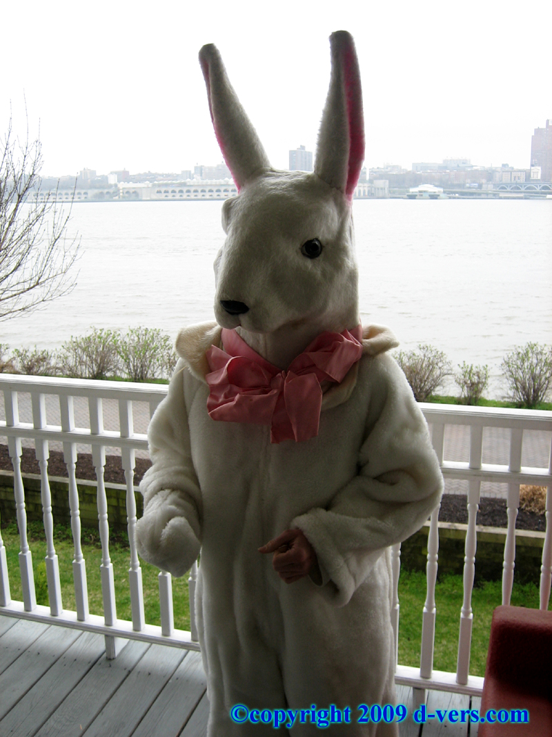 Rabbit Costume from the Macy's Parade 