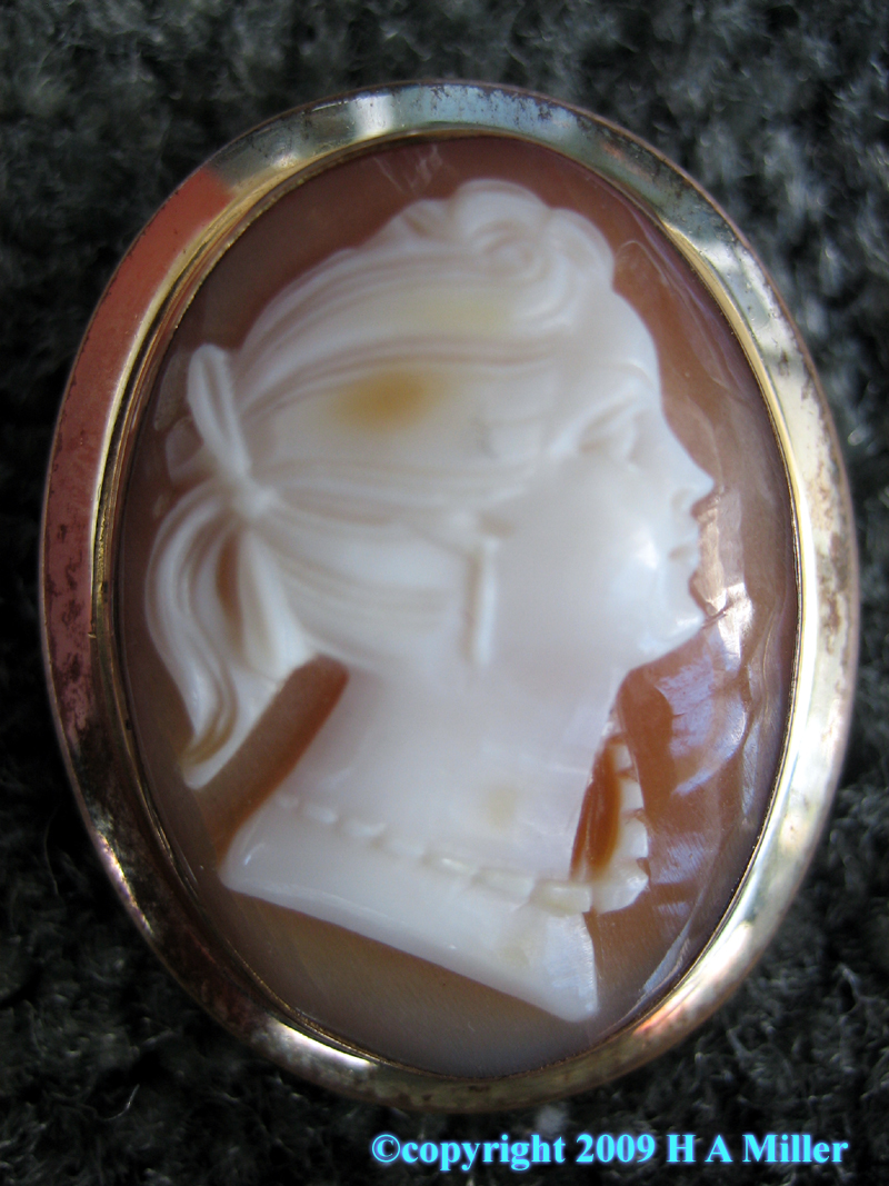  Gold Cameo Pendant or Brooch From the Early 20th Century